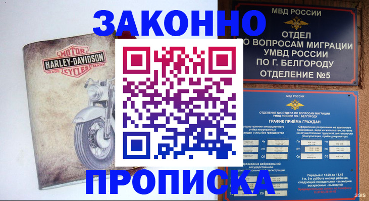 прописка для школы в Бокситогорске